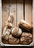 Verschiedene Brote in Holzsteige (Draufsicht)