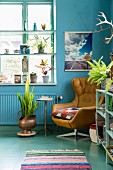 Leather armchair against blue wall and next to window with window shelves