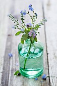 Forget-me-nots (Myosotis) in a green glass vase on a wooden surface