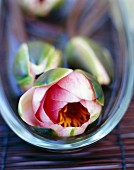 Dekorative exotische Blüten in Glasschale