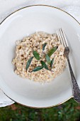 Orzotto - barley risotto, traditional Italian dish. Pear barley with butter, white wine, parmesan cheese, gorgonzola and sage