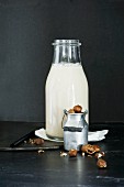 Homemade hazelnut milk in a glass bottle and hazelnuts in a mini milk jug