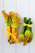 Gelbe und grüne Zucchini mit Blüten jeweils zum Bund zusammengebunden