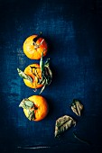 Drei Mandarinen mit Blättern auf dunklem Untergrund