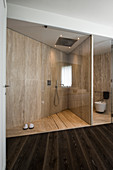 Partition and glass screens in designer bathroom