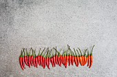 A row of fresh red chillis (seen from above)