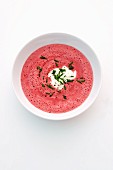 Beetroot soup with chives
