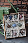 Speckled Easter eggs in display case made from old drawer