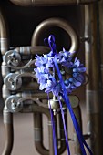 Kranz aus Hyazinthenblüten mit blauem Band an einer Tuba