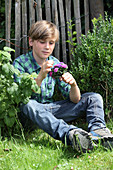 Boy holding posy of asters sitting on grass next to fence