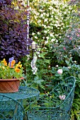 Filigrane Gartenmöbel aus Metall zwischen blühenden Sträuchern