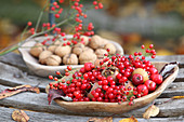 Holzschale mit roten Beeren und Mispeln, im Hintergrund Walnüsse