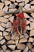 Strauß aus Schneeballbeeren, Hagebutten, Schilf und Himbeerblättern am Holzlager