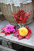 Posy of dahlias, rose hips and red Virginia creeper leaves