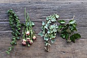 Verschiedene Efeuranken und rosafarbene Rosen auf rustikaler Holzunterlage