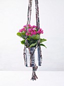 Macrame plant hanger made from jersey yarn and a tin can