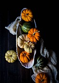 A collection of multi-colored petite pumpkins and gourds in a bowl
