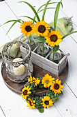 Glasflaschen mit Sonnenblumen im Holzkistchen, Windlicht und Kranz aus Sonnenblumen