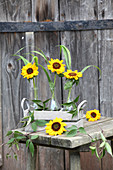 Glasflaschen mit Sonnenblumen im Holzkistchen