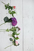 Sommerliche Schnittblumen auf weißen Holzbrettern