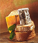 Still-life arrangement of cheeses