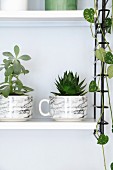 Houseplants planted in marble cups on white String shelf with black frame