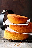 Vanilla sponge bases for multi-layered cakes
