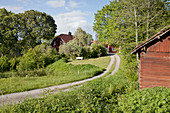 Landstraße durch Sommerwiesen zu roten Holzhäusern