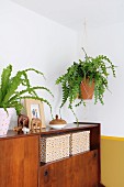 Houseplant in macramé plant hanger suspended above retro sideboard