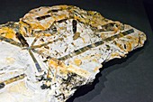Kyanite and Staurolite crystals