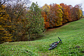 Mountain bike and autumnal trees