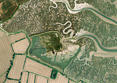 Tollesbury managed realignment site, Essex, UK