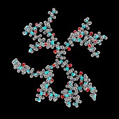 Dendrimer, molecular structure