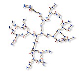 Dendrimer, molecular structure