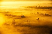 Valley mist over Lake Windermere, UK