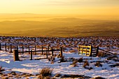 Gate glowing at sunset, North Pennines, UK