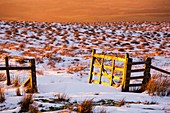 Gate glowing at sunset, North Pennines, UK