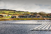 Floating solar panels, Godley Reservoir, UK