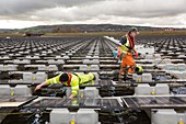 Floating solar panels, Godley Reservoir, UK