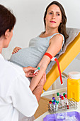 Blood test of pregnant woman