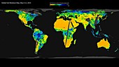 Global soil moisture, SMAP satellite map