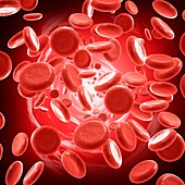 Red blood cells, illustration