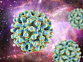 Hepatitis B virus particles, illustration