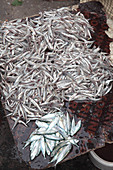 Piles of fish in market