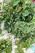 Mixed green vegetables and herbs in market