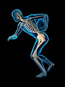 Skeletal structure of rugby player, illustration