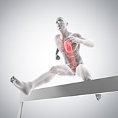 Athlete hurdling over hurdle, illustration