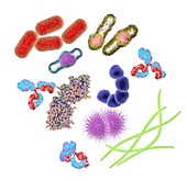 Microbes and molecules, illustration