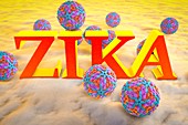 Zika viruses and inscription 'Zika', illustration