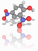 2, 4-Dinitrophenol poison molecule